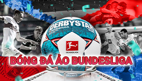 Virtual Bundesliga
